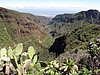 Canaria15_26.JPG
