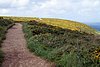 035_140524_Cornwall.JPG