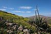361_Fuerteventura.JPG