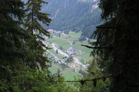 WHR-081
