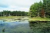 08-26_01- McCrae Lake.JPG