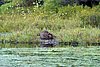 08-26_03- McCrae Lake.JPG