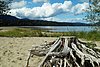 09-05_03- BowronLake.JPG