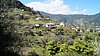 119_Madeira.JPG