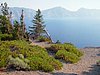 033- am Crater Lake.JPG