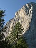 061- El Capitan im Yosemite NP.JPG