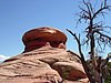 108- im Arches NP.JPG